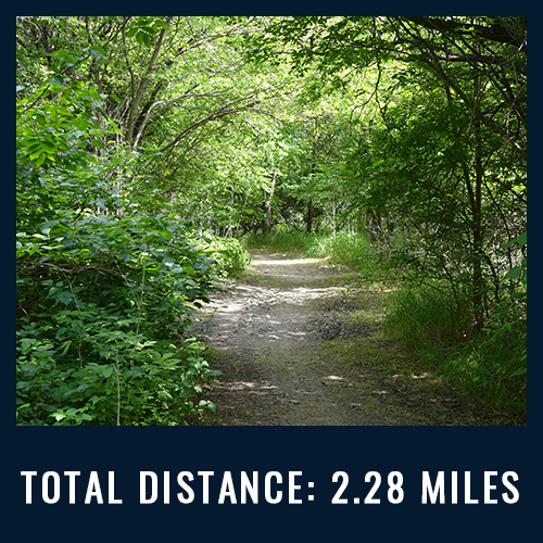 Hidden Cove Nature Trail