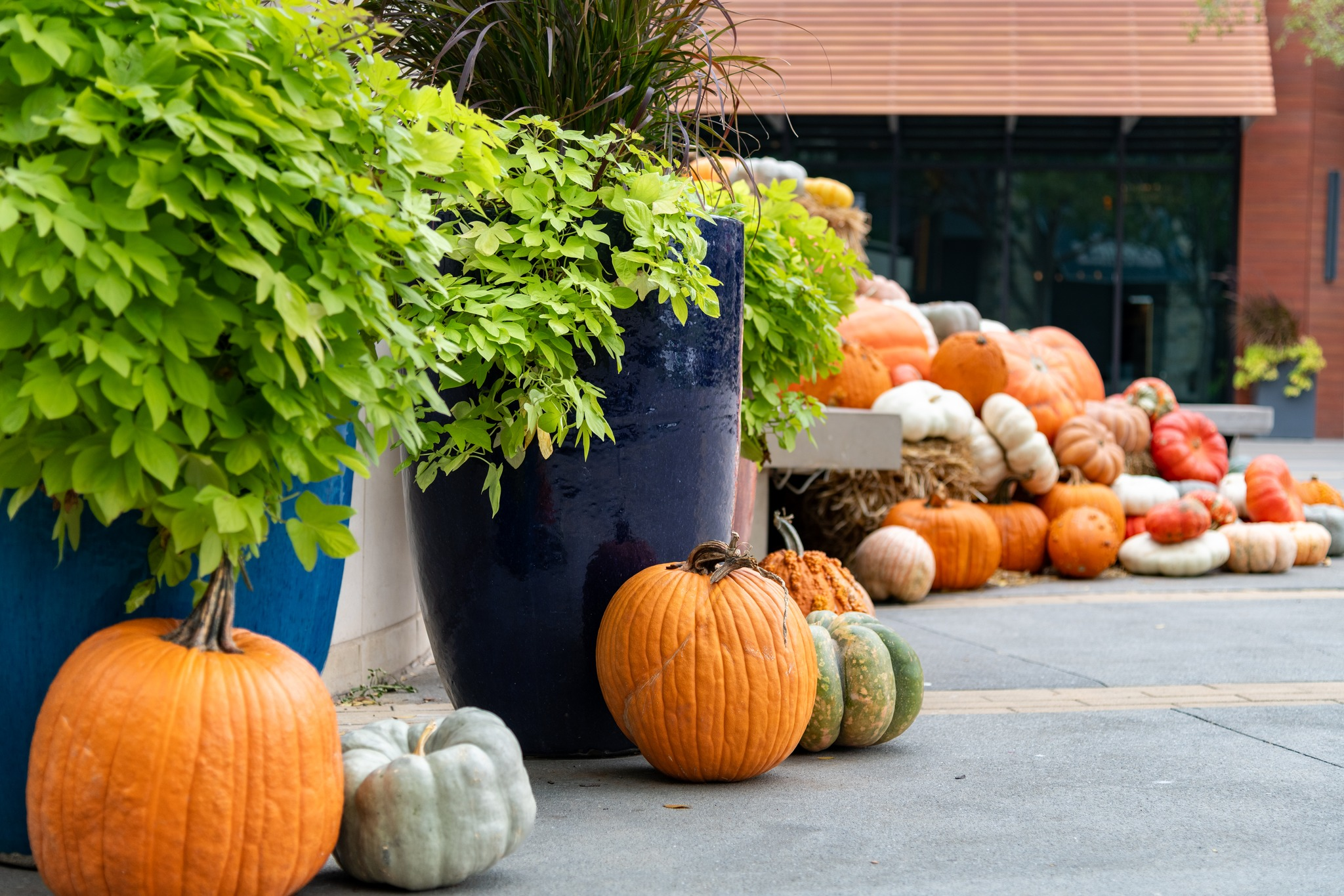 October Blog Cover Image